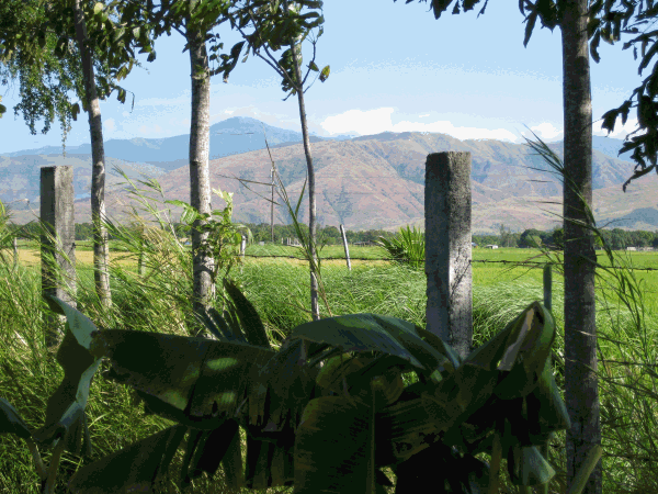 Fence with Zambales Mountains in background