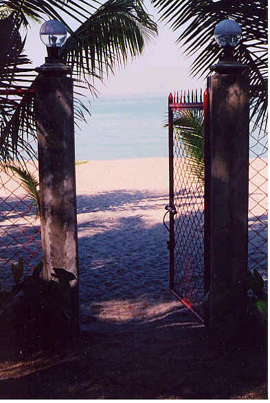 Photo of the beach seen through the gate